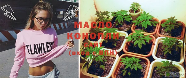 ПСИЛОЦИБИНОВЫЕ ГРИБЫ Алзамай