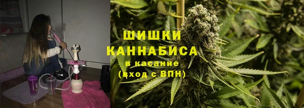 ПСИЛОЦИБИНОВЫЕ ГРИБЫ Алзамай