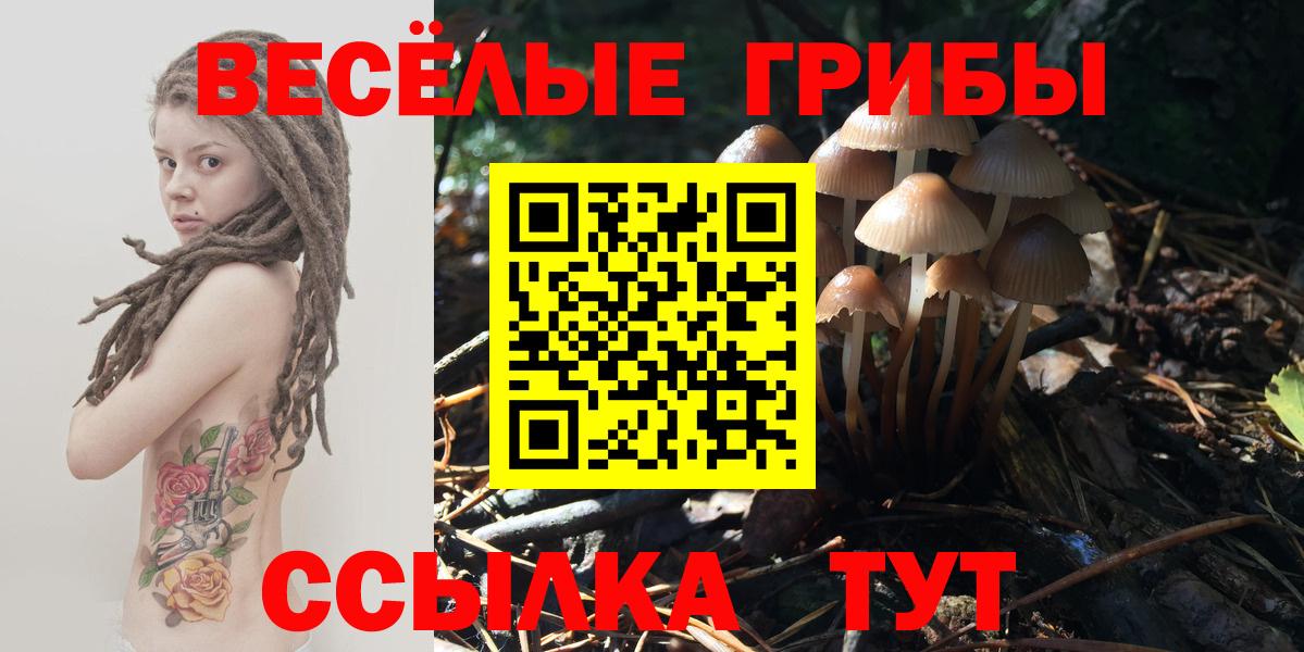что такое наркотик  Вход с VPN  Междуреченск  Псилоцибиновые грибы Psilocybine cubensis  Псилоцибиновые грибы Cubensis 