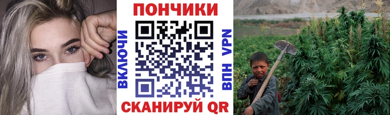мориарти формула  Междуреченск  Канабис индика 